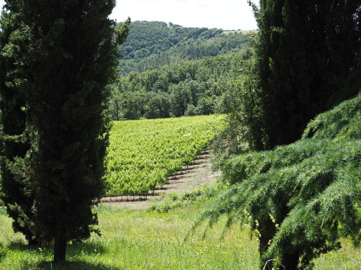 Sassi Bianchi Sensano Exterior foto